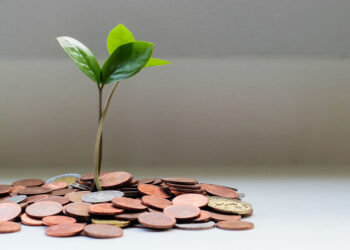 Sustainable Investment